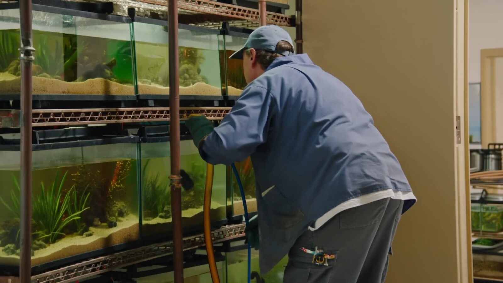 Restoration technician illustrating: Aquarium failures: hundreds of gallons in the living room