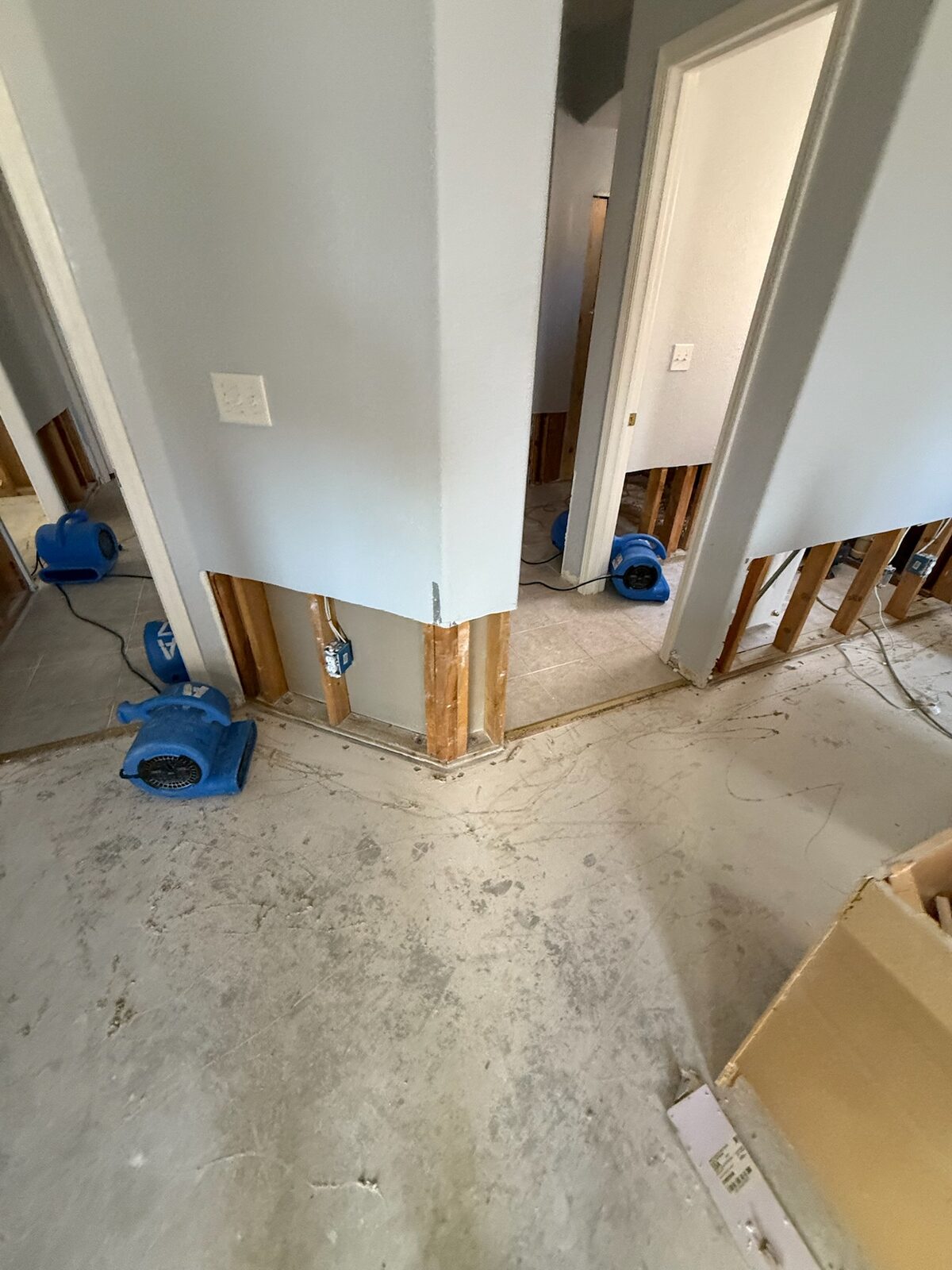 Air movers set through doorways where lower drywall was removed for drying