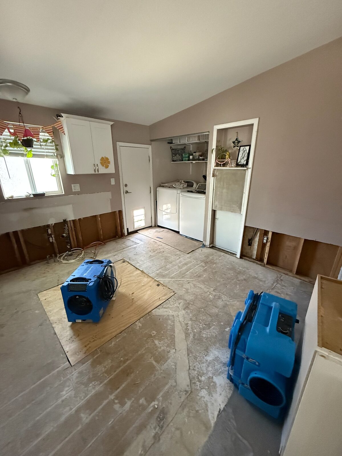 Dehumidifier and air mover set on protective plywood in a laundry area during drying