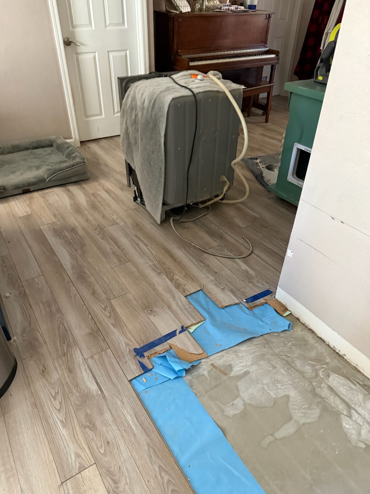 Laminate plank flooring partially removed exposing a damp concrete slab and moisture barrier